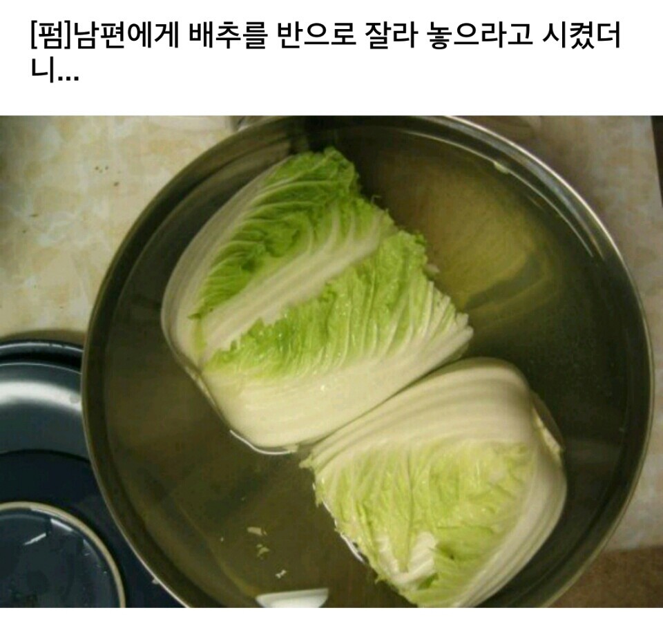 배추.jpg